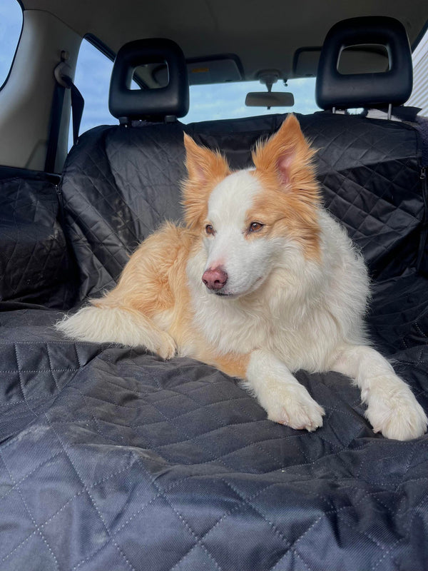 Waterproof Boot Cover For Dogs