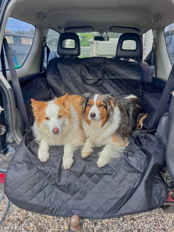 Waterproof Boot Cover For Dogs