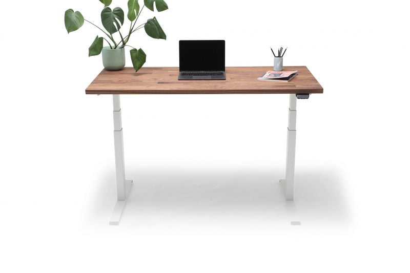 Sit & Stand Desk